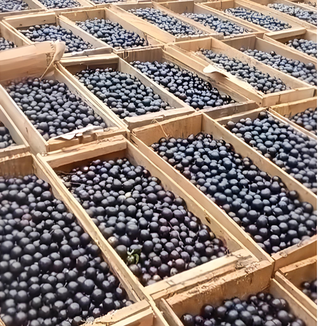 Cachaça com Jabuticaba Sabarabuçu - Sabará (MG) | 500 ml - Imagem 3