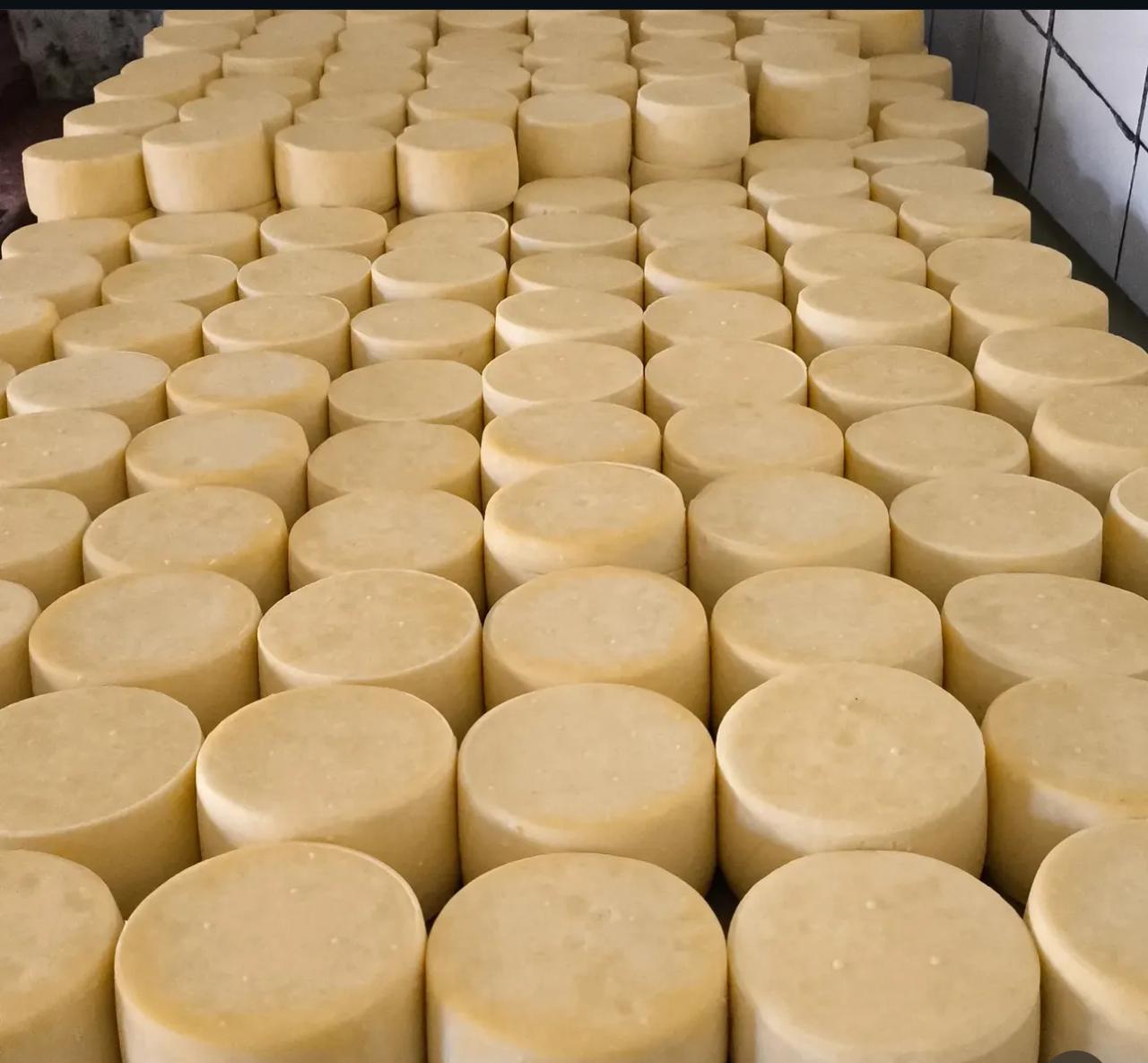 Queijo Meia Cura - Fazenda Bom Sucesso, Mantiqueira de Minas (MG) | 500 grs - Imagem 4